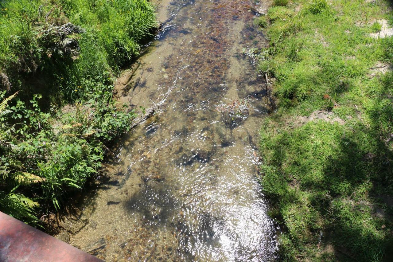 Unwind In Paradise Valley Trout At Your Door Rotorua Ngoại thất bức ảnh
